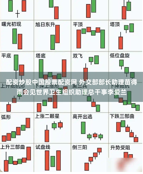 配资炒股中国股票配资网 外交部部长助理苗得雨会见世界卫生组织助理总干事李爱兰