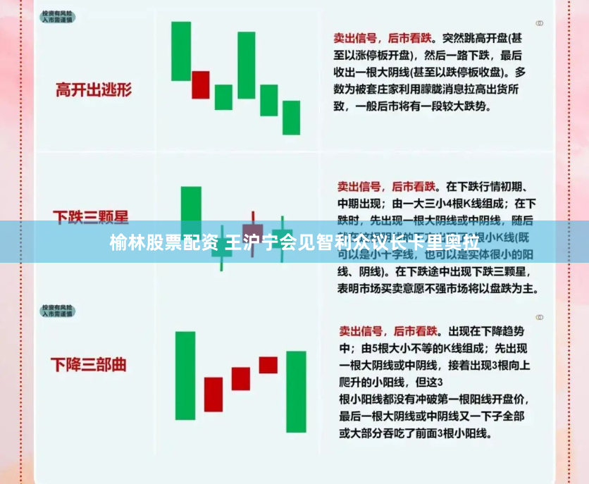 榆林股票配资 王沪宁会见智利众议长卡里奥拉