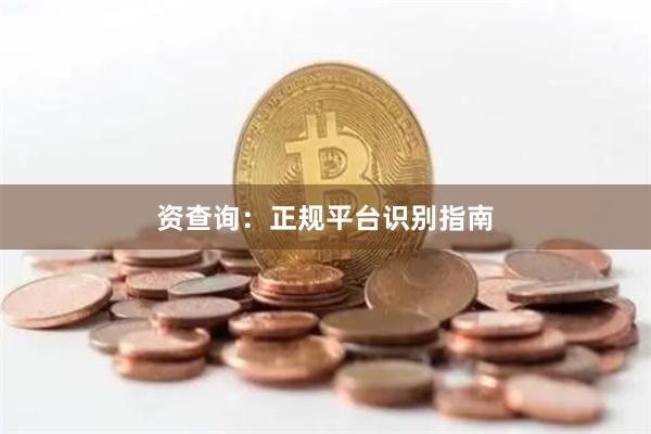 资查询:正规平台识别指南